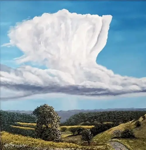 Obra vendida de Valter Cacio