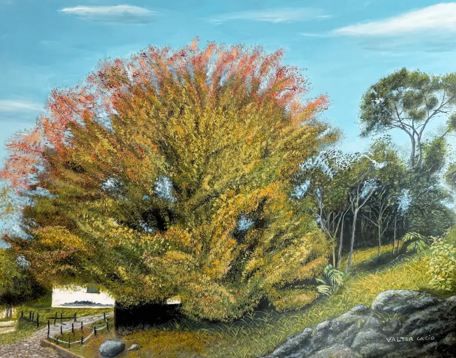 Obra vendida de Valter Cacio