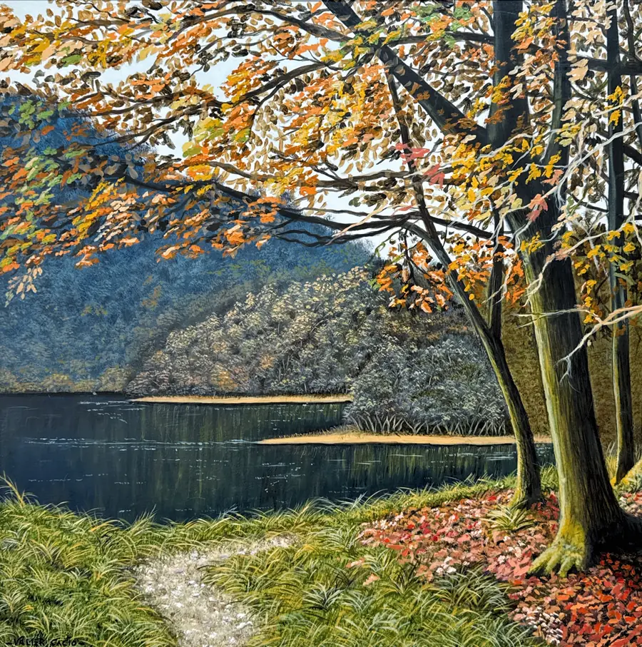 Obra vendida de Valter Cacio